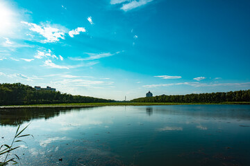 Fototapete bei efototapeten.de bestellen   