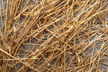 Pile of dried straw on grey wooden table, top view