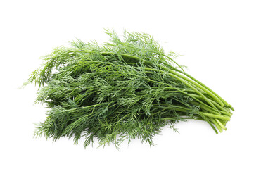 Fresh green dill branches isolated on white