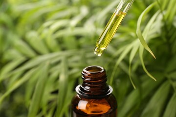Dripping essential oil from pipette into bottle outdoors, closeup