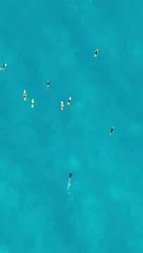 Vertical Screen: From a birdseye view, we can see people swimming and surfing in the ocean. The video highlights the beauty of the coast, with clear water and a vertical screen orientation