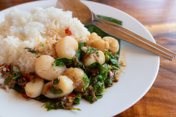 Stir Fry Scallops with Holy Basil and Cooked Rice, Thai Food