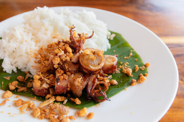 Fried Squid with Garlic and Cooked Rice, Thai Food