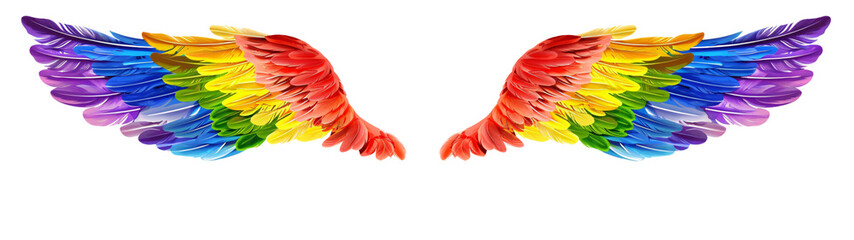Rainbow pride wings isolated on transparent background.