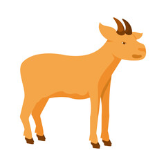 sheep goat cartoon vector illustration. Farm animal vector illustration.