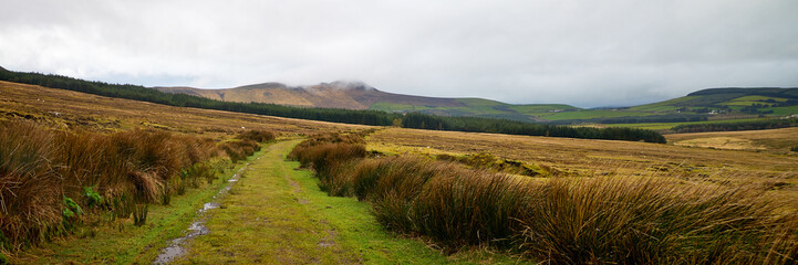 Dingle Way path cutting through an Irish Valley