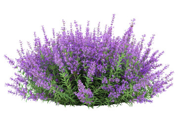 A vibrant cluster of blooming lavender flowers with rich purple hues and lush green foliage, perfect for capturing the essence of nature.