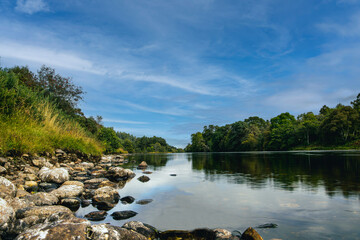 Naklejka premium river in the forest