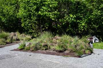 Pile of dirt and invasive weeds on brown tarps ready for composting, invasive weeds being dug up and removed from grass pasture, sunny spring farm maintenance project
