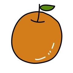 fresh orange with fruit on white background illustration design