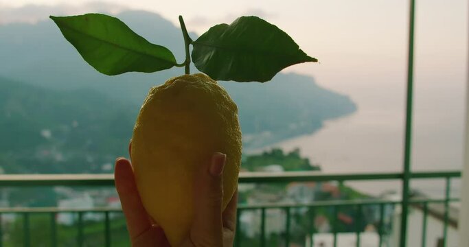 A hand presents a Sorrento lemon against the backdrop of a hazy Amalfi coast morning, symbolizing fresh Italian produce.