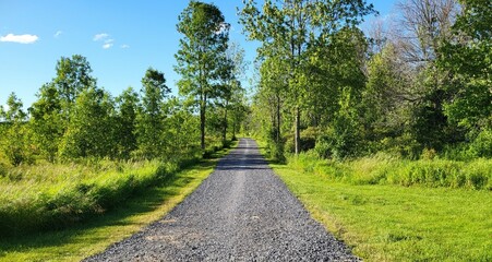 WALKING DOWN A WOOD PATH IN NORTHERN ONTARIO