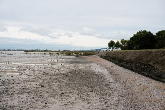 mudflats in front of the  Harbour View Beach Reserve