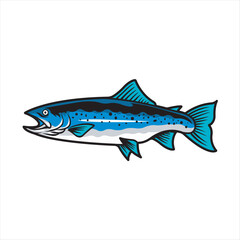 Vector Illustration of Steelhead Trout Fish with Simple Illustration