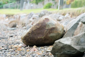 stones on the beach at low tide