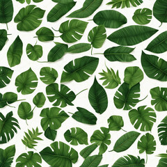 Obraz premium natural-of-beautiful-tropical-green-leaves-of-leaf-isolated-on-transparent-background