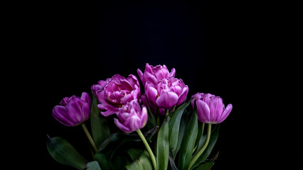 Obraz premium Flowers in black background