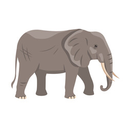 Obraz premium elephant large cartoon mammal