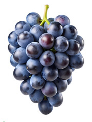 Fototapeta premium dark blue grape