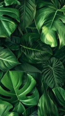 Botanical Illustrations with Intricate Patterns