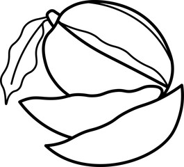 Mango vector outline illustration