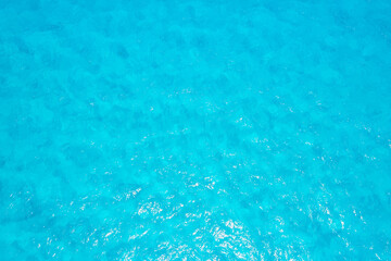 El Mirador dolphin beach, Cancun