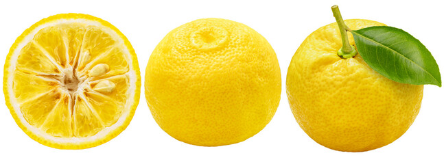 Group of Yuzu Orange fruit on White backghround. Sweet Yuzu Orange fruit isolate on white PNG File.