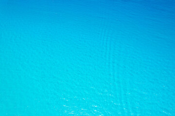 El Mirador dolphin beach, Cancun