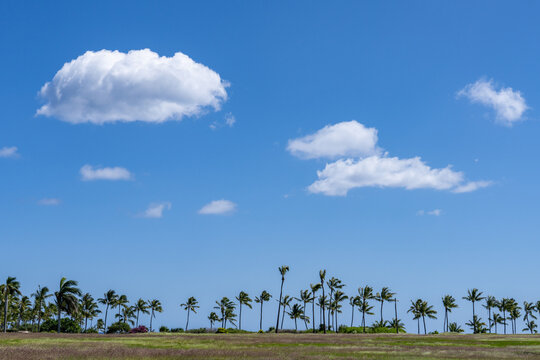 Kamoana Pl / Aliinui Dr, Ko Olina , Honolulu, Oahu, Hawaii. leeward coast

