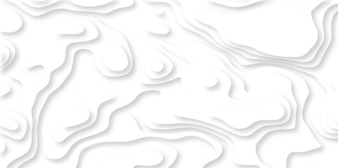 Luxury abstract lines Modern white carve wave line abstract luxury 3d papercut background. vector minimal topography map light element shadow landscape wave element curve graphic papercut design.