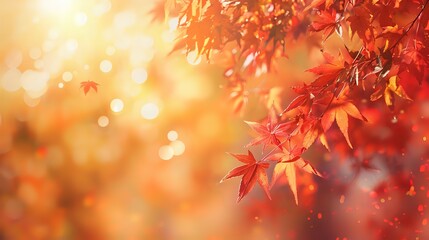 Fototapeta premium Golden Autumn Leaves with Bokeh Lights in Sunlit Background