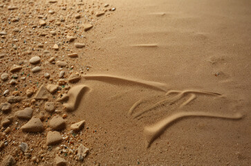 texture of sand beach for background