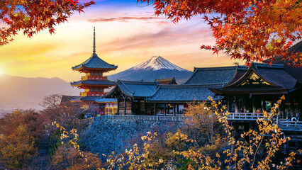Autumn season at sunset in Japan. Travel concept.