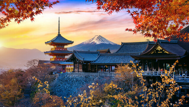 Autumn season at sunset in Japan. Travel concept.