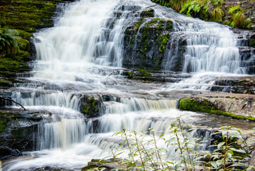 McLean Falls - New Zealand