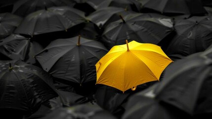 Yellow umbrella standing out in a sea of black umbrellas. Visual metaphor for leadership, confidence, and standing out.