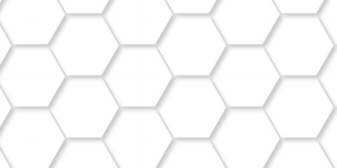 Abstract pattern with hexagon white and gray technology line paper background. Hexagon 3d vector grid tile and mosaic structure mess cell. white and gray hexagon honeycomb geometric copy space.