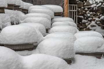 snow-covered ceramic jars for fermenting and containing food and sauce