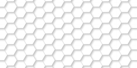 Abstract pattern with hexagonal white and gray technology line paper background. Hexagonal 3d vector grid tile and mosaic structure mess cell. white and gray hexagon honeycomb geometric copy space.