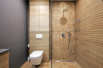 Bathroom interior with shower cabin and toilet bowl
