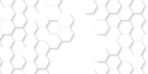 Abstract pattern with hexagon white and gray technology line paper background. Hexagon 3d vector grid tile and mosaic structure mess cell. white and gray hexagon honeycomb geometric copy space.