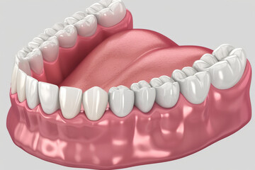 Fototapeta premium a mockup of a dental model human jaw or oral cavity.