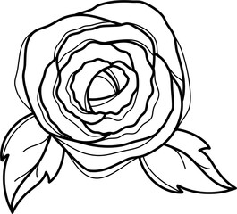 Rose Outline Illustration Vector