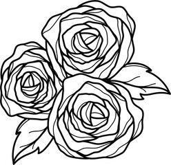 Rose Outline Illustration Vector