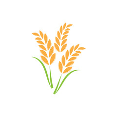 Agriculture wheat logo vector template and symbol