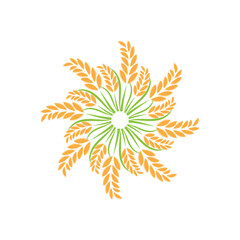 Agriculture wheat logo vector template and symbol