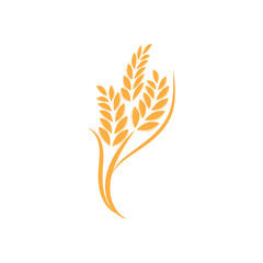 Agriculture wheat logo vector template and symbol
