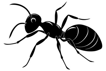 cute ant  vector silhouette illustration