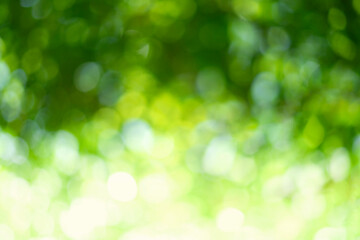 abstract green bokeh background © berkahjayamaterial