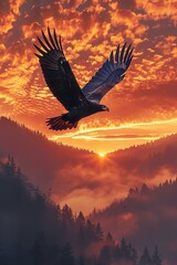 Bald eagle soaring over mountains, captured in a silhouette style against a dramatic sunrise